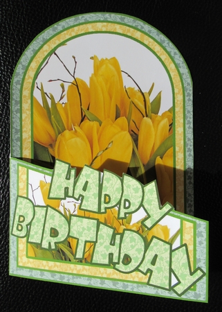Cutaway Yellow Tulips by Davina Rundle