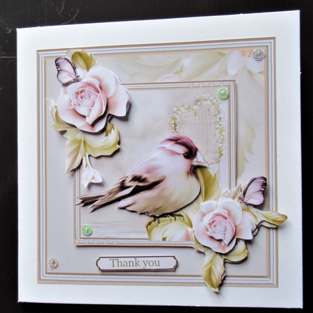 Pink Finch and flowers by Davina Rundle