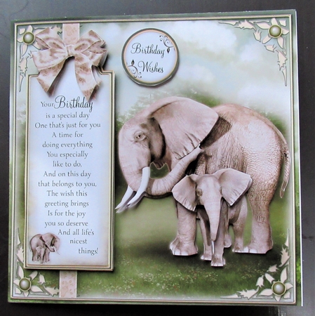 Animal Magic Bumper Kit by Davina Rundle