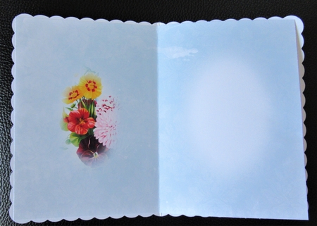 seed packet 4 insert by Davina Rundle