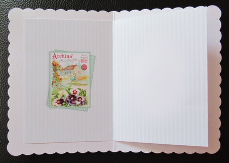 Seed packet 10 insert by Davina Rundle