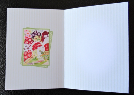 Seed packet 12 insert by Davina Rundle