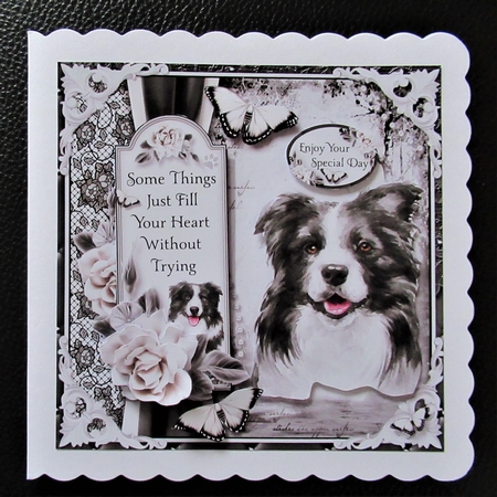 The Border Collie by Davina Rundle