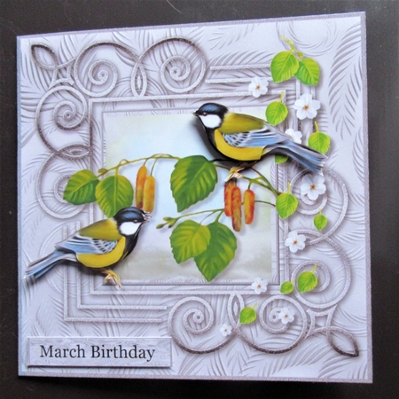 Male Card Birds Mini Kit by Davina Rundle