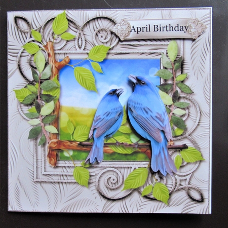 Male Card Wild Birds Mini Kit by Davina Rundle