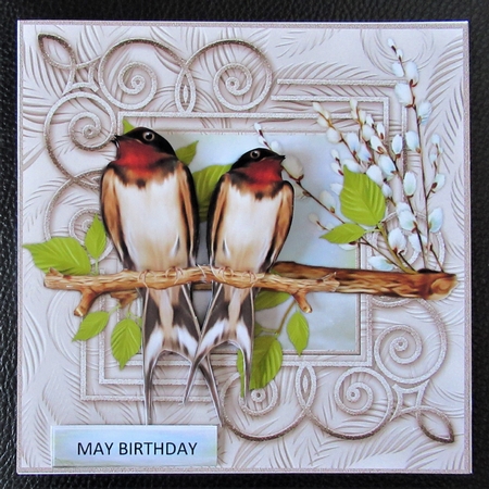 Male Card Beautiful Birds Mini Kit by Davina Rundle