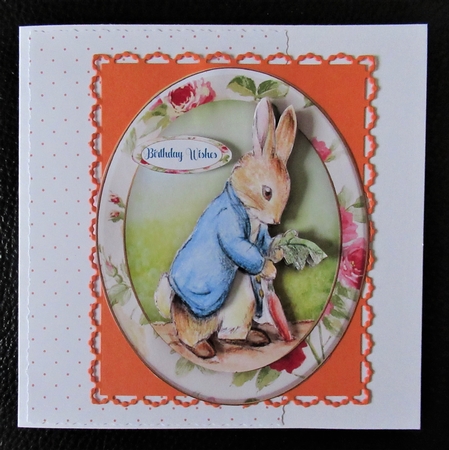 Peter and the Carrot by Davina Rundle