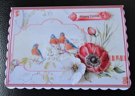 birds and anemone 7x7 card by Davina Rundle