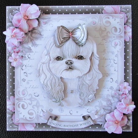 The Pampered Poochie by Davina Rundle
