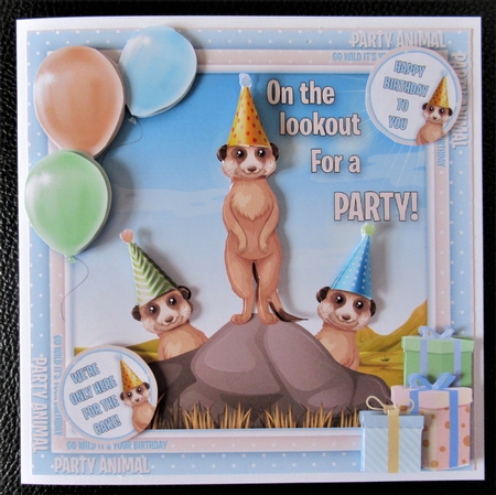 Go Wild Its Your Birthday by Davina Rundle