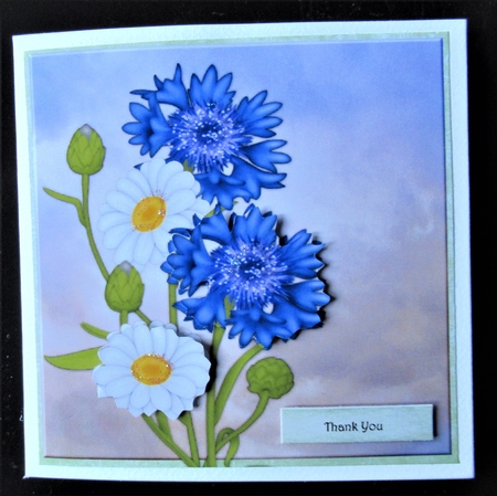 Quick Card Spring Flowers 4 by Davina Rundle
