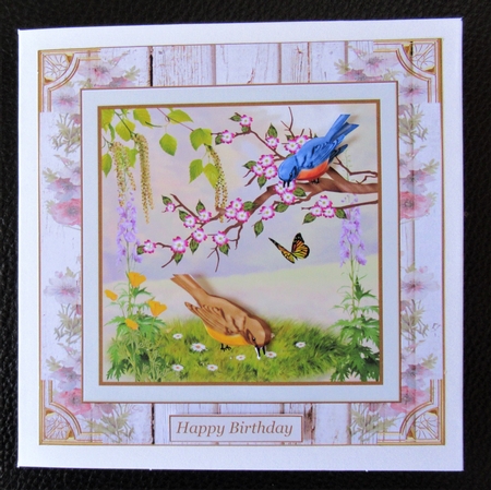 Bird Song Decoupage 8x8ins Mini Kit by Davina Rundle