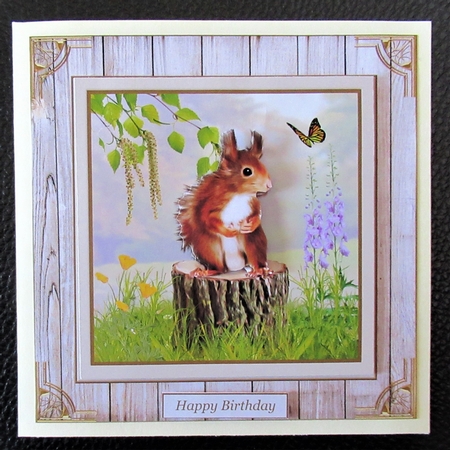Squirrel Decoupage 8x8ins Mini Kit  by Davina Rundle
