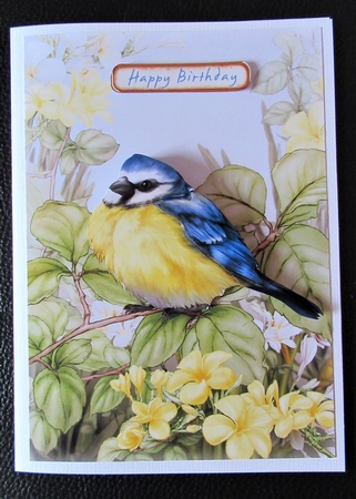 Blue Tit by Davina Rundle