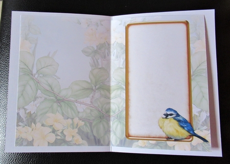 Blue Tit Insert by Davina Rundle