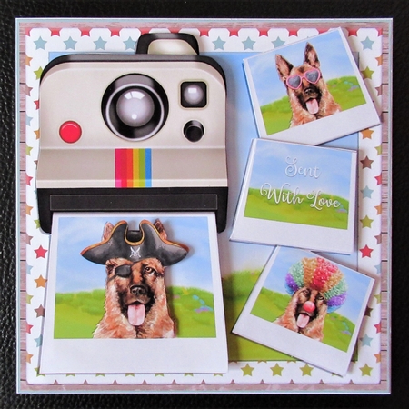 SNAP HAPPY GERMAN SHEPHERD by Davina Rundle