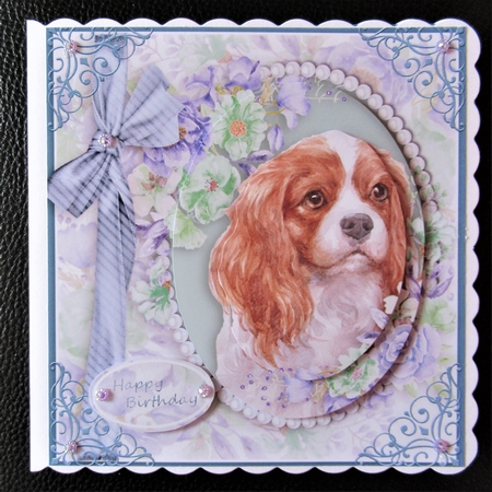 cute Dog collection by Davina Rundle