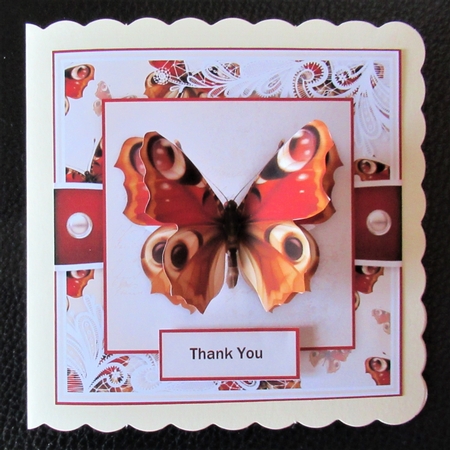 Butterfly B by Davina Rundle