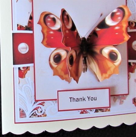 Butterfly B by Davina Rundle