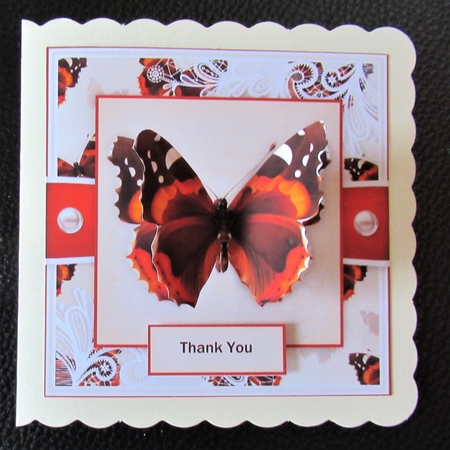 Butterfly C by Davina Rundle