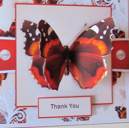 Butterfly C by Davina Rundle