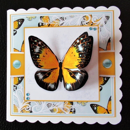 Butterfly O by Davina Rundle