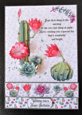 Colourful cactus by Davina Rundle