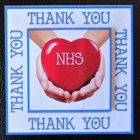 THANK YOU TOPPERS - NHS - SET 2 by Davina Rundle