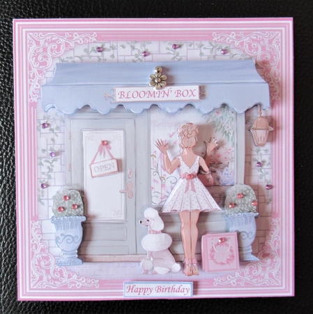 BLOOMIN BOX THE FLORIST SHOP 7.5 Decoupage & Inert Card Kit by Davina Rundle