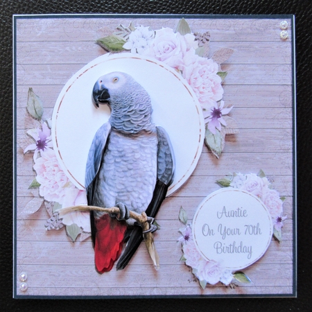 BEAUTIFUL BIRDS - AFRICAN GREY by Davina Rundle