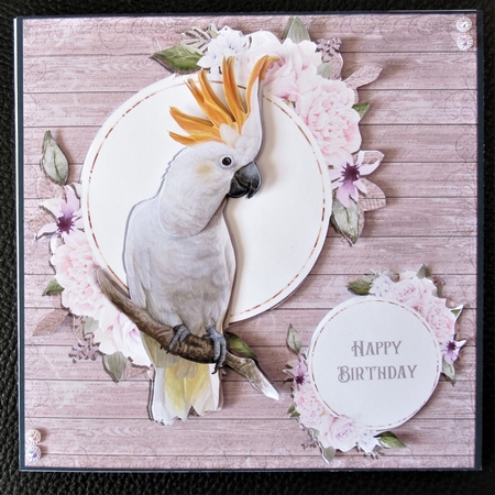 BEAUTIFUL BIRDS - COCKATOO by Davina Rundle