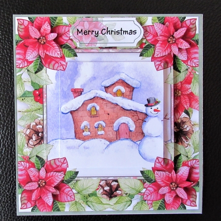 Christmas poinsettia by Davina Rundle