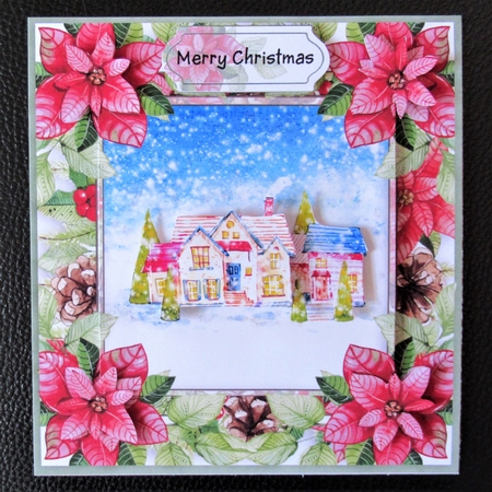 Christmas poinsettia by Davina Rundle