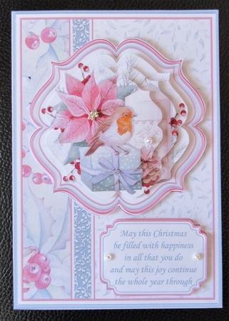 A5 ROBIN PORTRAIT CHRISTMAS Cards Pyramage & Inserts Bumper Kit by Davina Rundle