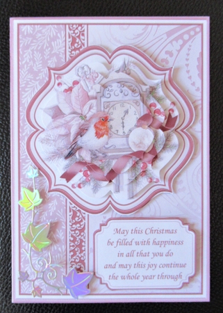 A5 ROBIN PORTRAIT CHRISTMAS Cards Pyramage & Inserts Bumper Kit by Davina Rundle