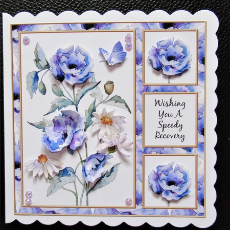 Poppies N Daisies Get Well Card Six by Davina Rundle
