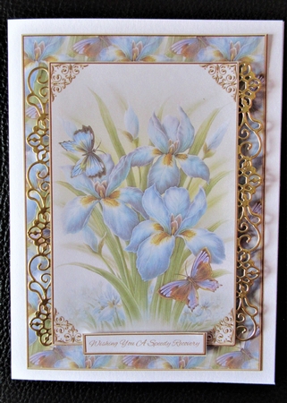 Sending Get Well Wishes by Davina Rundle