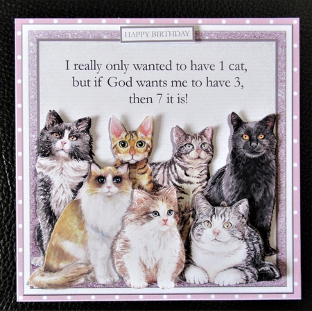 7 CATS  6x6 by Davina Rundle