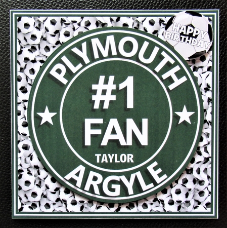 PLYMOUTH ARGYLE by Davina Rundle