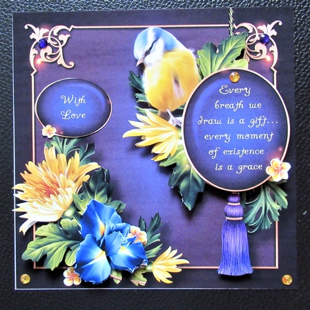 Beautiful Bluetit Verse by Davina Rundle