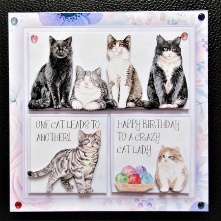 Crazy Cat Lady Mini Kit by Davina Rundle