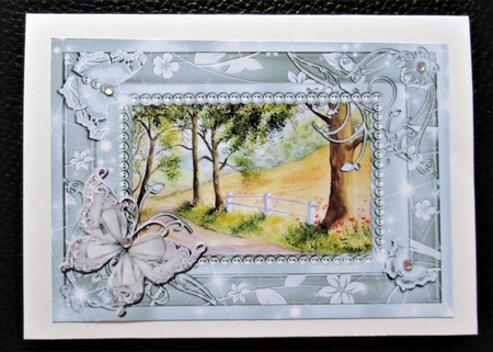 Summer Day and Bluebell wood. 2 Butterfly framed card toppers by Davina Rundle