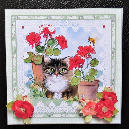Cat and Geraniums 8 x 8  Card topper with floral decoupage by Davina Rundle
