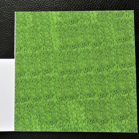 GRASS by Davina Rundle