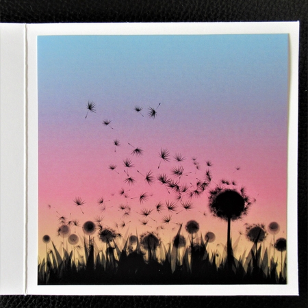 SILHOUETTE DANDELION 1 by Davina Rundle