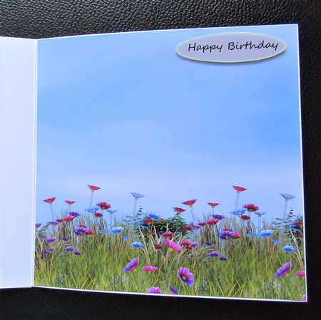 FLOWER MEADOW by Davina Rundle