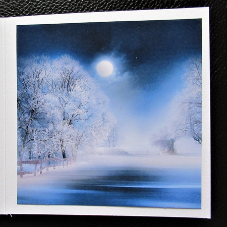 WINTER MOON by Davina Rundle