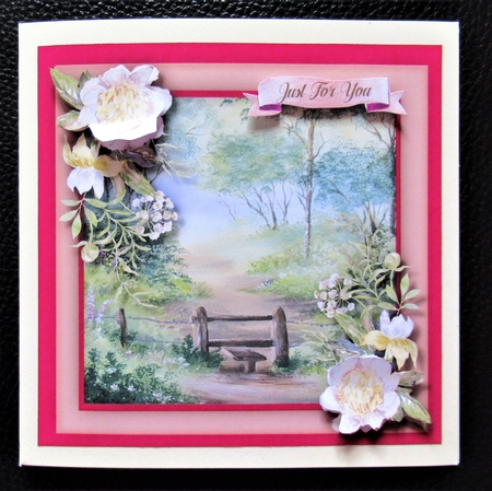 Beautiful Bella Roses by Davina Rundle