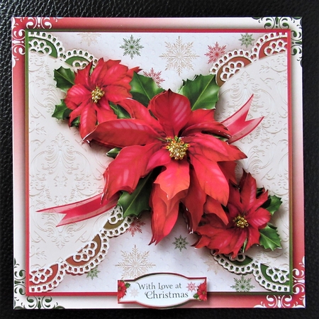 The Red Poinsettia by Davina Rundle