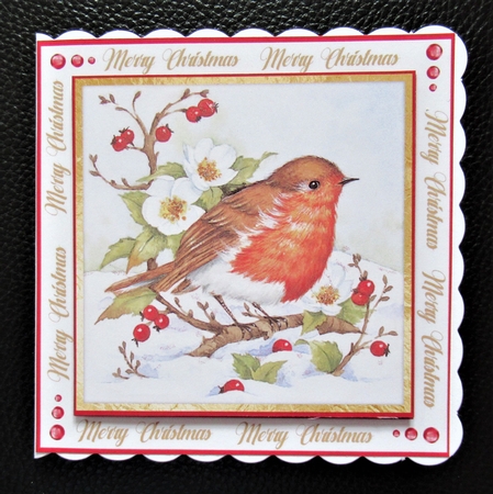4, card Fronts , Robins in the Snow  by Davina Rundle